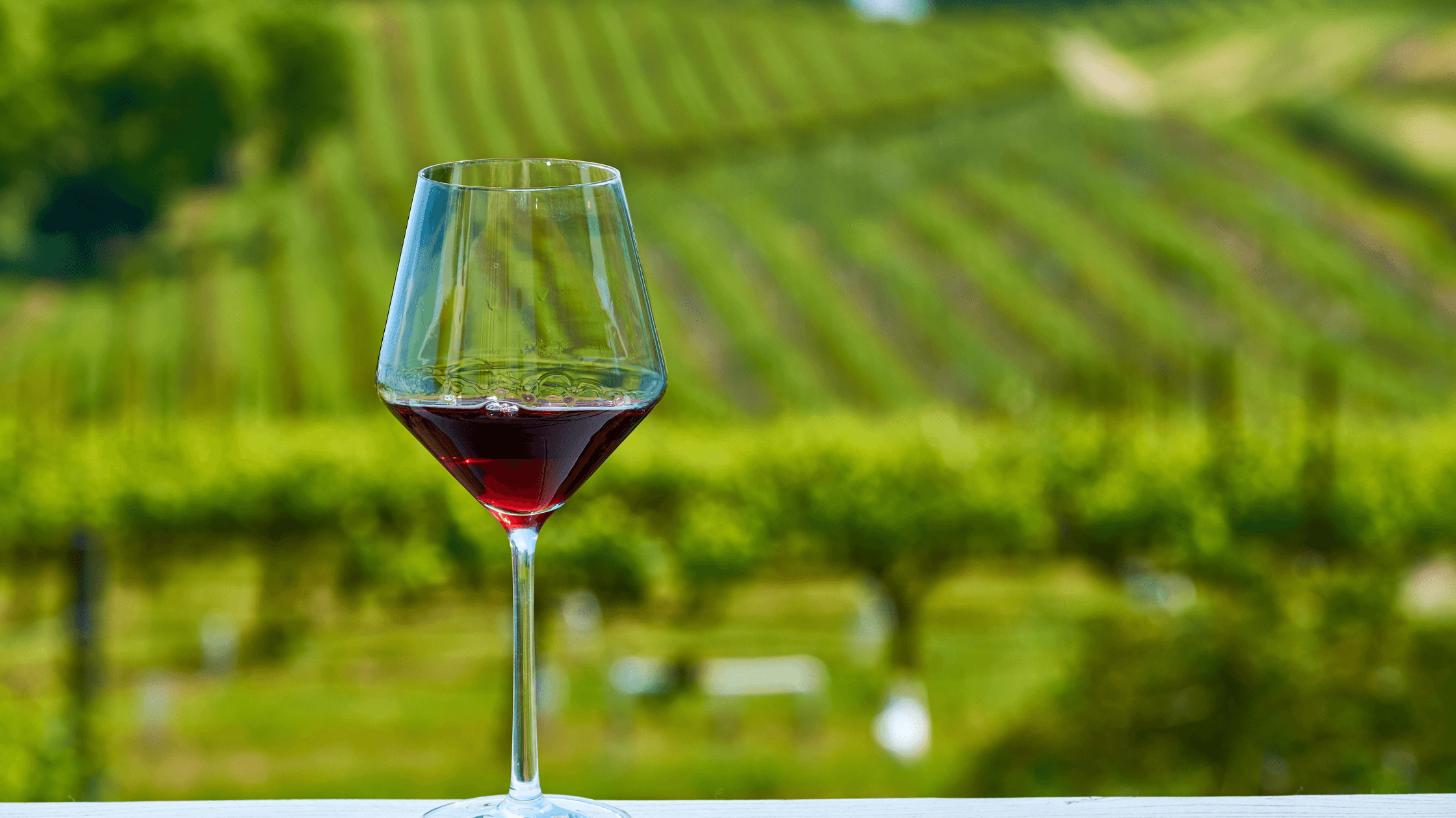 A glass of red wine stands in front of lush, green vineyard rows. A glass of red wine stands in front of lush, green vineyard rows.