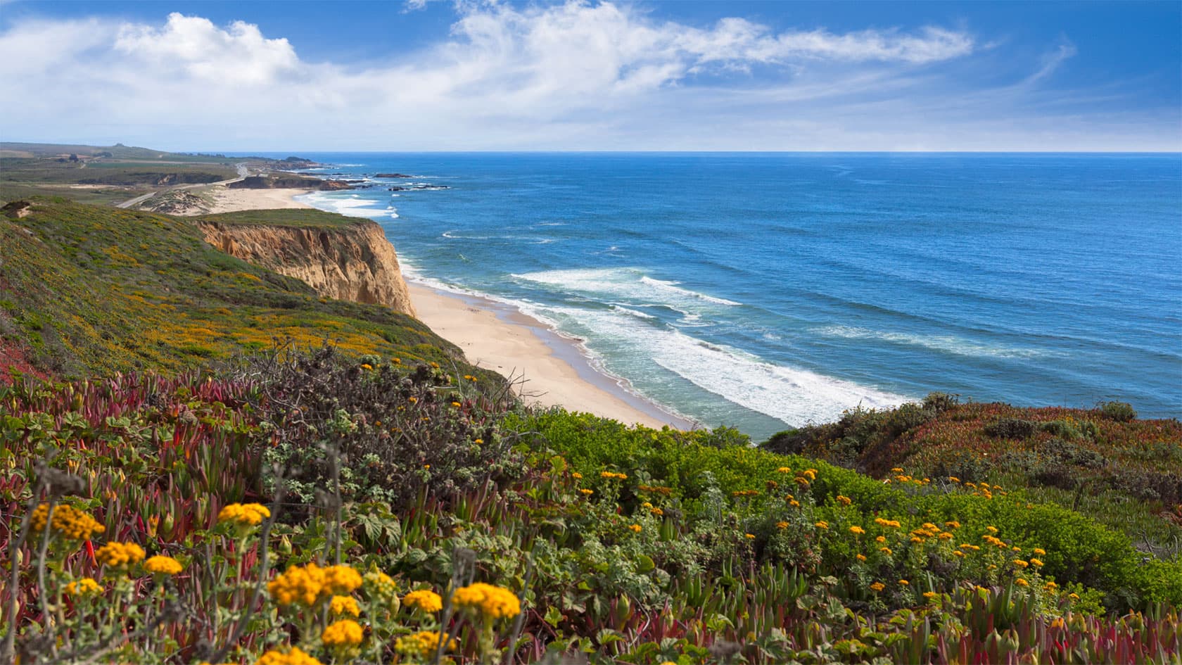 A coastal view featuring cliffs, sandy beach, and vibrant wildflowers under a blue sky. A coastal view featuring cliffs, sandy beach, and vibrant wildflowers under a blue sky.